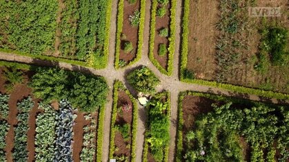 Gemüsegarten aus der Vogelperspektive mit Beeten