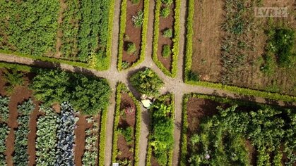 Gemüsegarten aus der Vogelperspektive mit Beeten